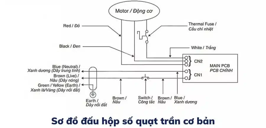 cau-tao-va-cach-dau-hop-so-quat-tran-4